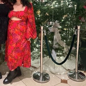 2X For Love and Lemons dress